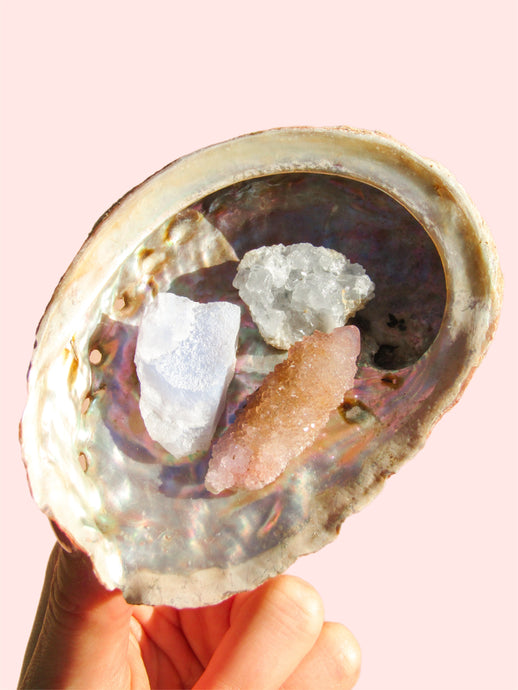 Abalone Shell crystal bundle
