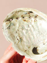 Load image into Gallery viewer, Abalone Shell - Cleansing dish