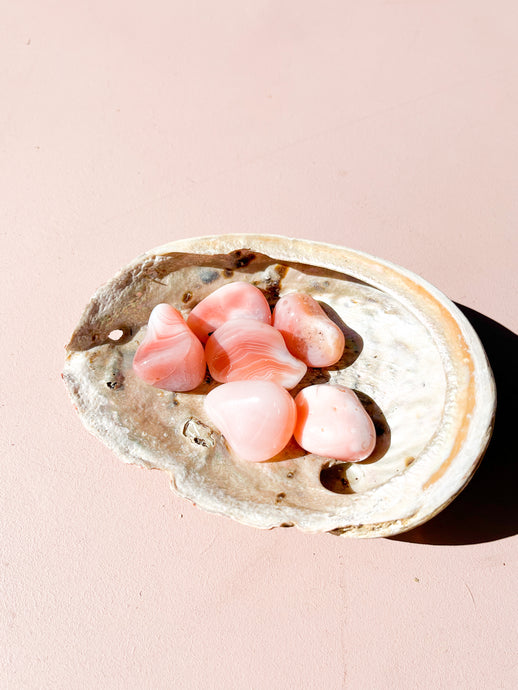 Abalone Shell - Cleansing dish